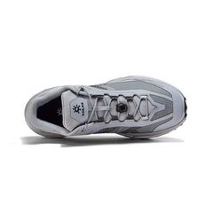 Silver Gray