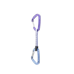 Purple/Blue