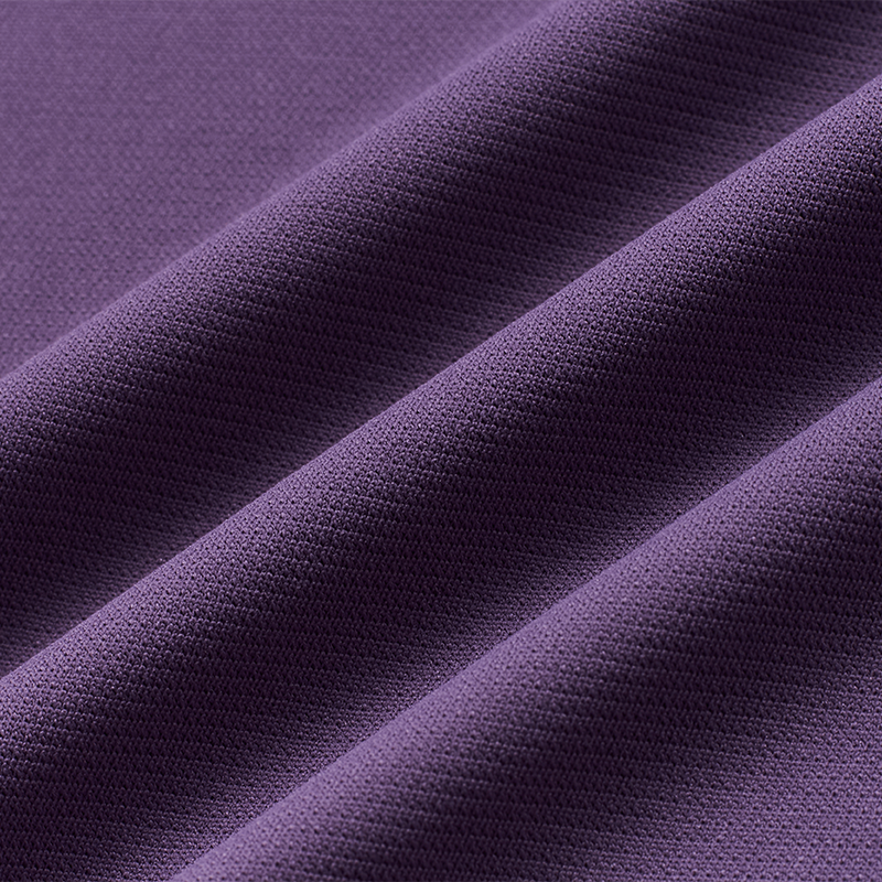 Hibiscus Purple