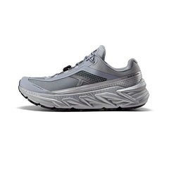 Silver Gray