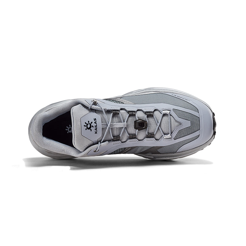 Silver Gray