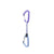 Purple/Blue