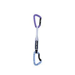 Purple/Blue