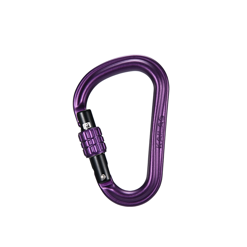 Sunset Purple