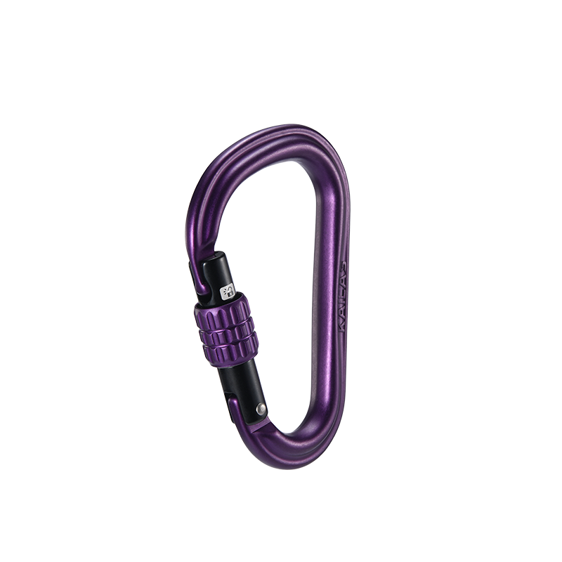 Sunset Purple